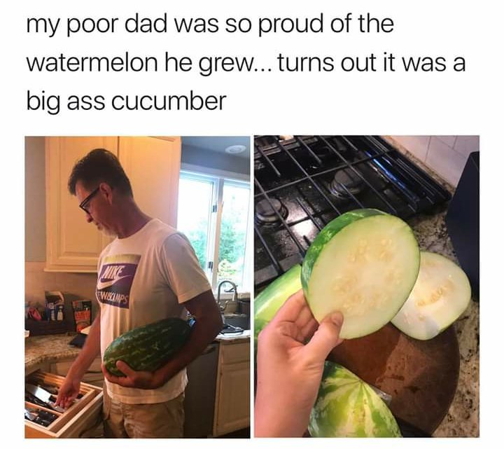 My poor dad was so proud of the watermelon he grew Папа вырастил огурец вместо арбуза