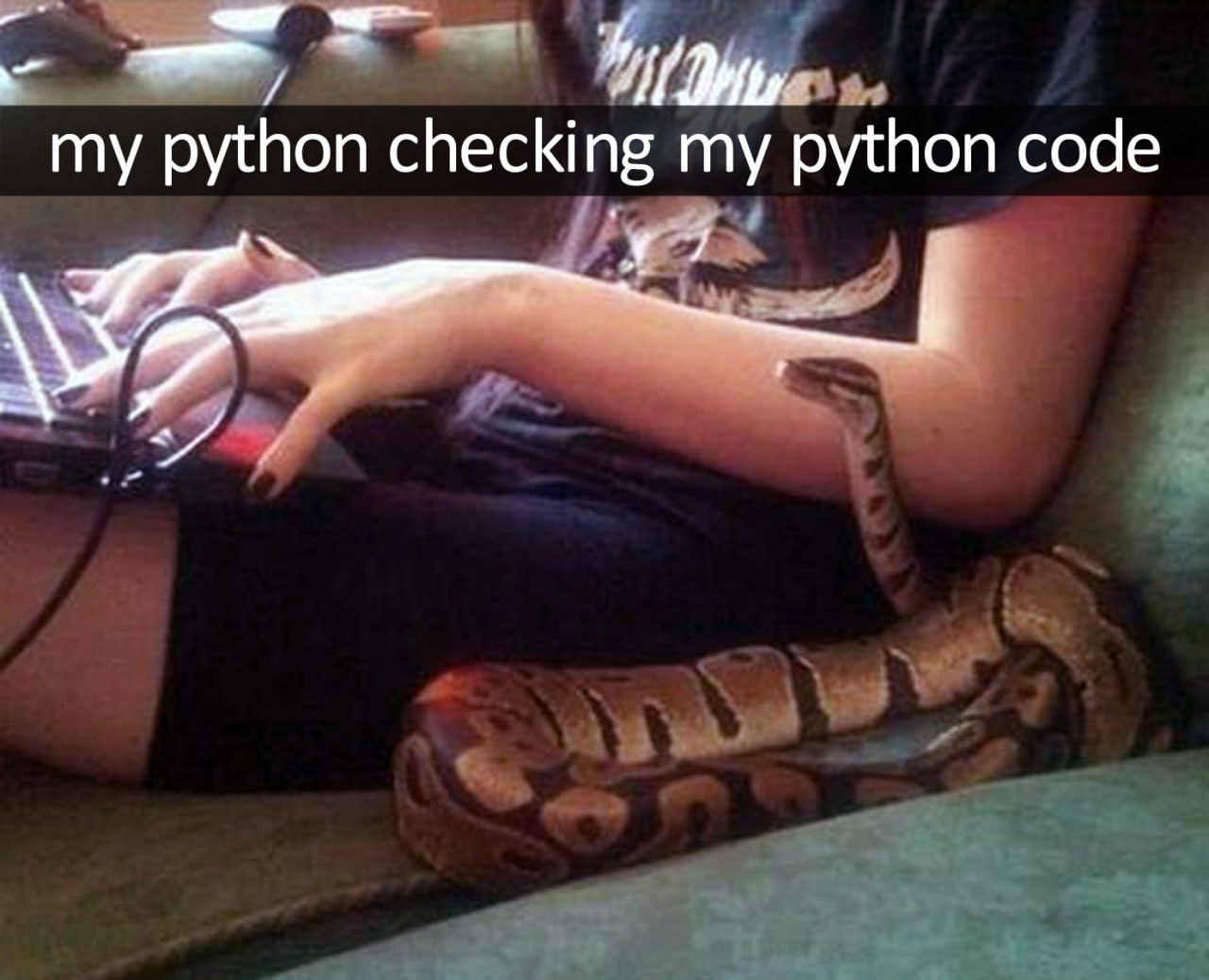 Мой питон проверяет мой код на Python Мем "Мой питон проверяет мой код на Python" с изображением женщины, печатающей на ноутбуке, и настоящей змеи, смотрящей на экран