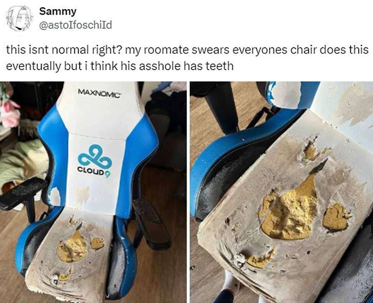 My roommate swears everyone's chair does this eventually but I think his asshole has teeth Пользователь твиттера удивляется состоянию кресла своего соседа, которое выглядит сильно изношенным, в то время как сосед утверждает, что это нормально