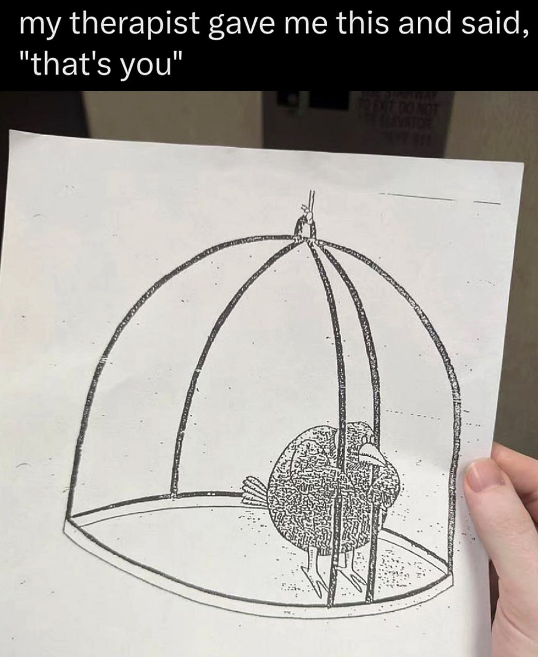 My therapist gave me this and said, "that's you" Мем, где терапевт даёт пациенту рисунок грустной птицы в клетке и говорит, что это он. Грустная птица в клетке.