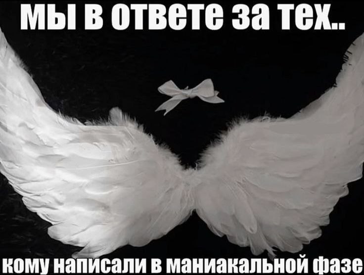 Белые ангельские крылья и фраза «Мы в ответе за тех, кому написали в маниакальной фазе» — шутка о необдуманных сообщениях.