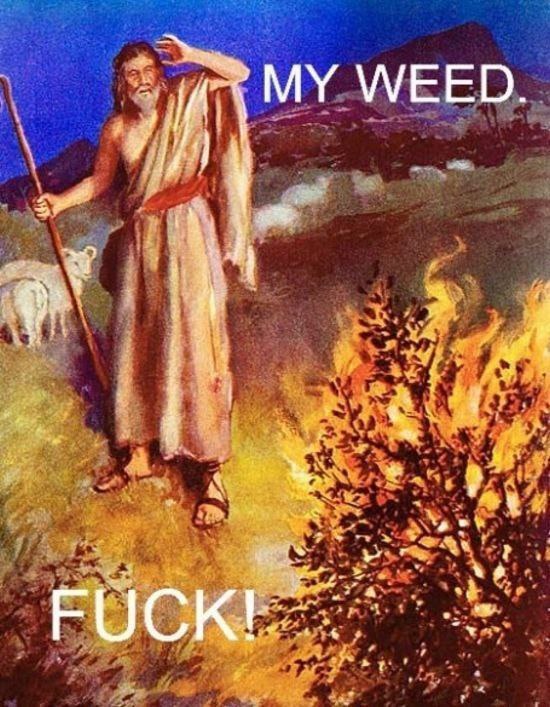 My weed. Fuck! Мужчина в тунике с посохом смотрит на горящий куст и восклицает: "Моя трава. Блять!"