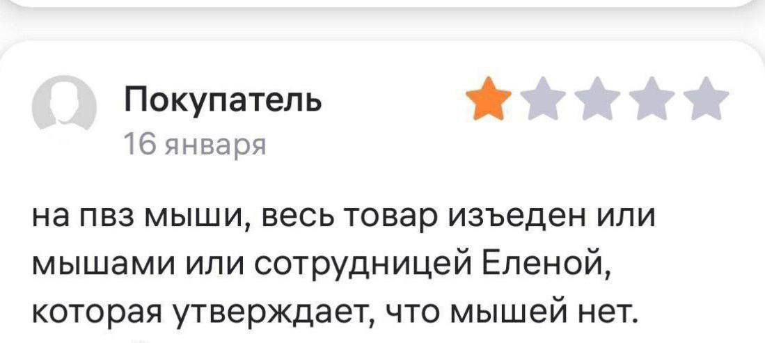Мыши на ПВЗ Отзыв покупателя, который обнаружил, что его товар изъеден мышами или сотрудницей Еленой, которая отрицает наличие мышей на пункте выдачи заказов.