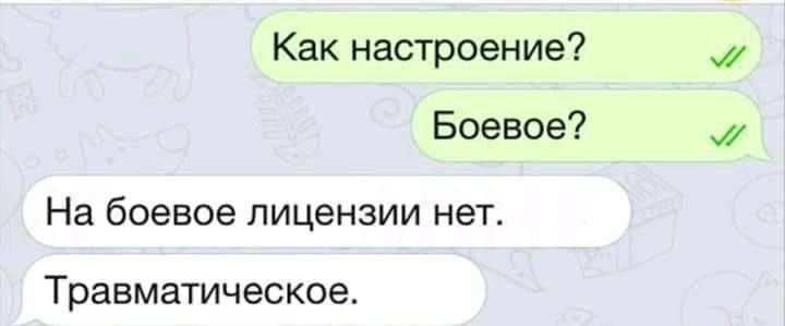 На боевое лицензии нет Мем про настроение в переписке: «На боевое лицензии нет. Травматическое»
