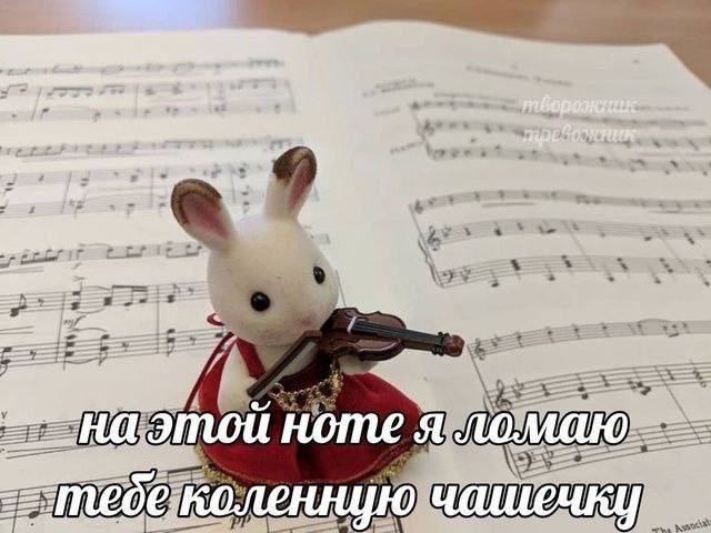 На этой ноте я ломаю тебе коленную чашечку Милый кролик с виолончелью и угрожающей надписью "На этой ноте я ломаю тебе коленную чашечку" на фоне нотной тетради.