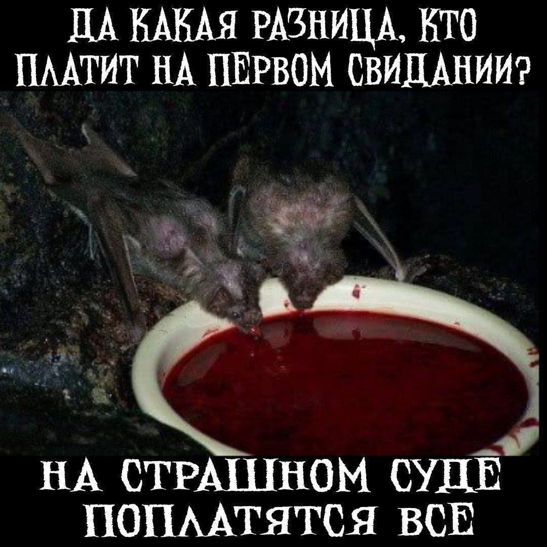 На страшном суде поплатятся все Летучие мыши пьют кровь на первом свидании