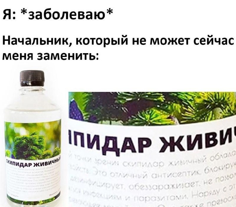Начальник, скипидар живичный Мем про начальника, который не может найти замену заболевшему сотруднику, со скипидаром, на этикетке которого видно только "пидар живич".