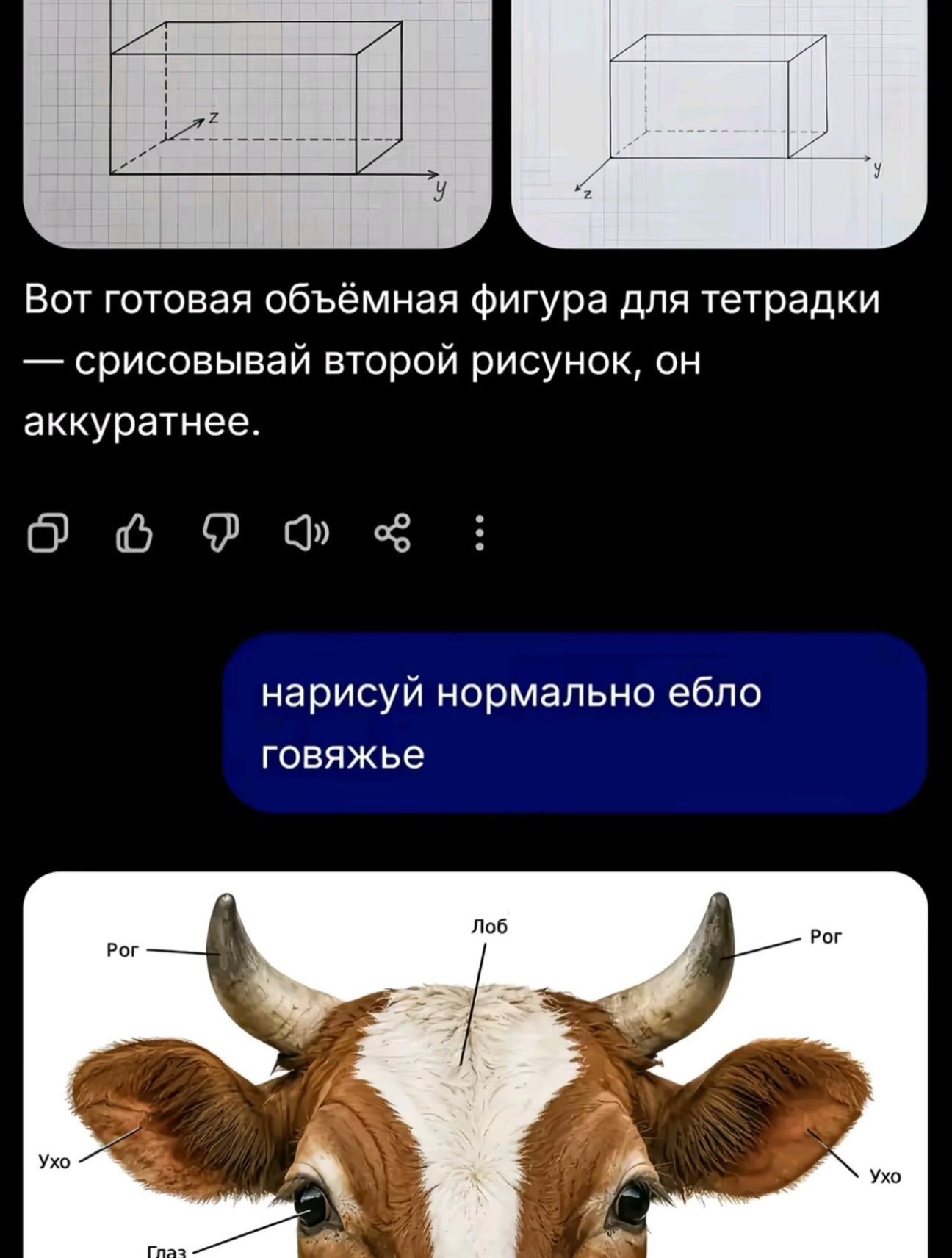 Сначала предлагают аккуратно перерисовать объёмную фигуру, а в ответ присылают анатомическую схему коровьей головы с подписью «нарисуй нормально ебло говяжье».