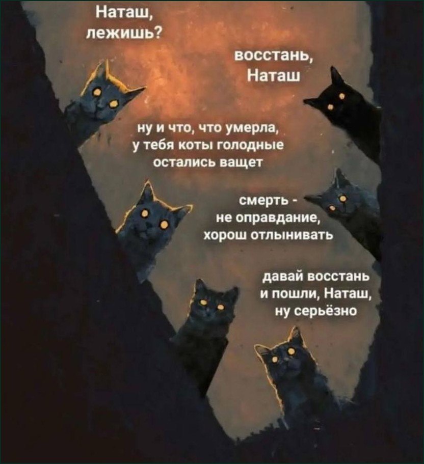 Несколько котов с горящими глазами зовут Наташу встать, даже если она умерла, потому что у котов остались дела и они голодные.