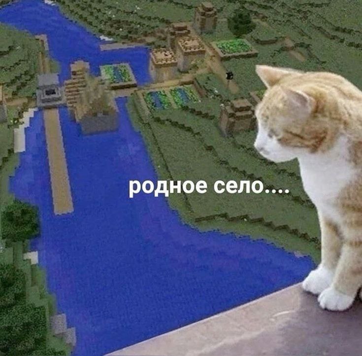 Рыжий кот с ностальгией смотрит на карту Minecraft и узнаёт родное село
