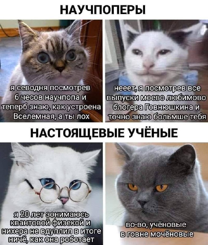 Мем с научпоперами и настоящими учёными Четыре кота представляют научпоперов и настоящих учёных, обсуждая свои знания