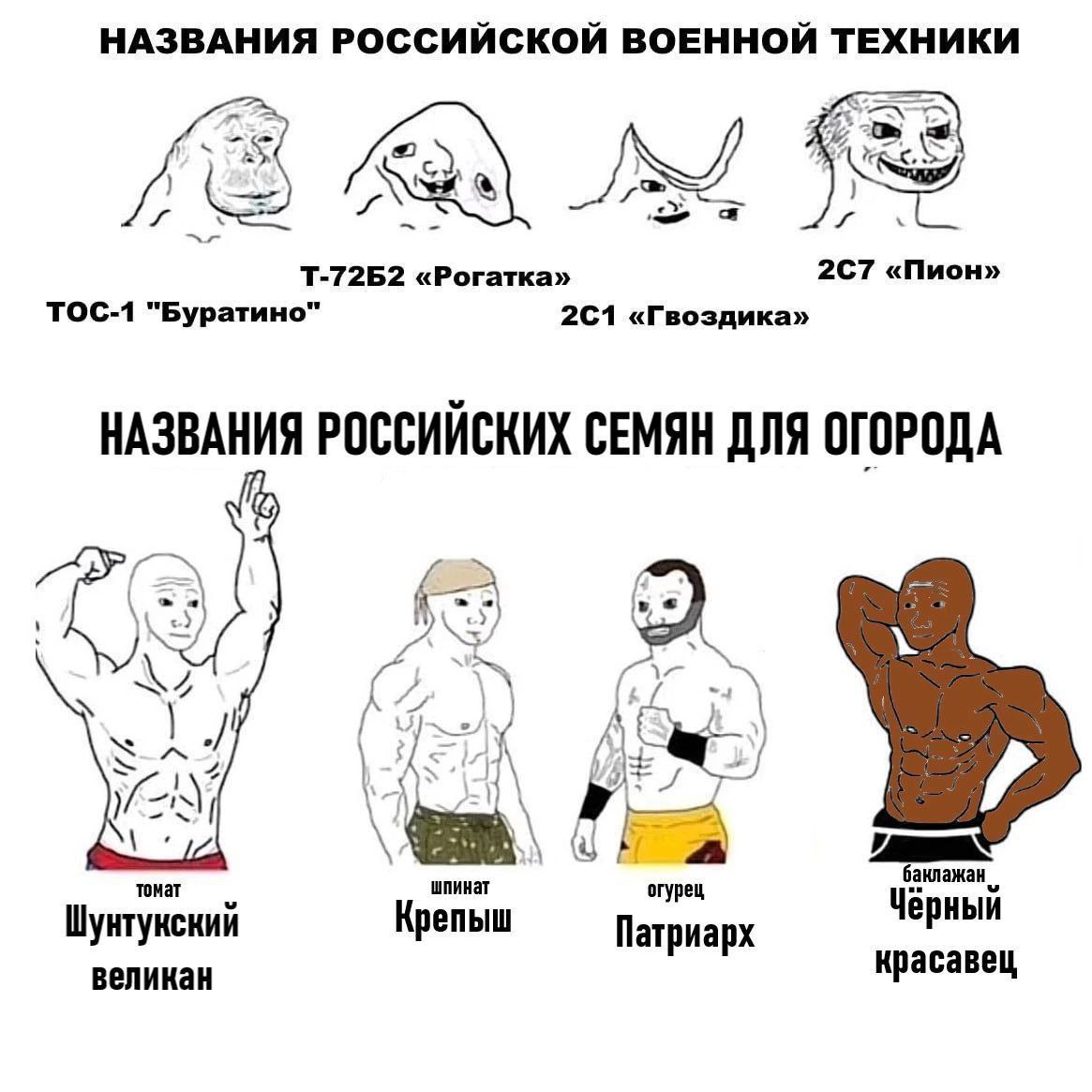 Названия российской техники и семян Названия российской военной техники и названия российских семян для огорода в виде мемов с мускулистыми мужчинами