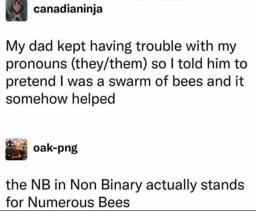Шутка о местоимениях they/them: NB якобы означает Numerous Bees — «многочисленные пчёлы», а не Non-Binary.