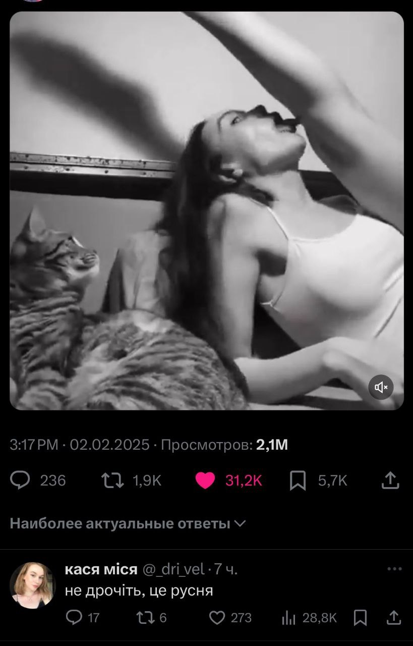 Не дрочіть, це русня Кот с любопытством смотрит на женщину, которая запрокинула голову.