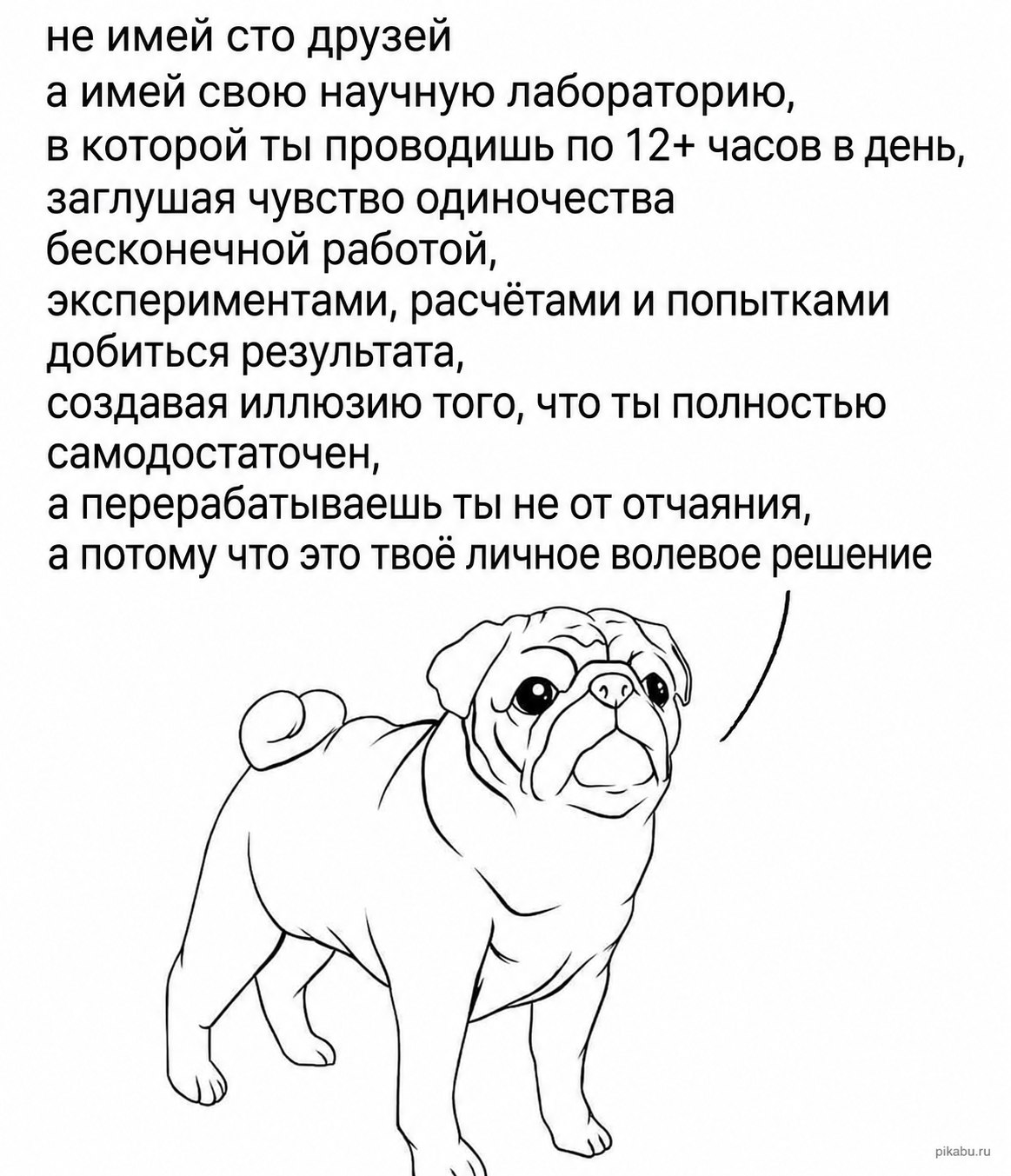 Грустный мопс под текстом про научную лабораторию, бесконечную работу и одиночество