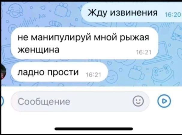 Не манипулируй мной рыжая женщина Скриншот переписки в мессенджере, где кто-то ждет извинений, а в ответ получает «Не манипулируй мной рыжая женщина» и тут же «Ладно прости».