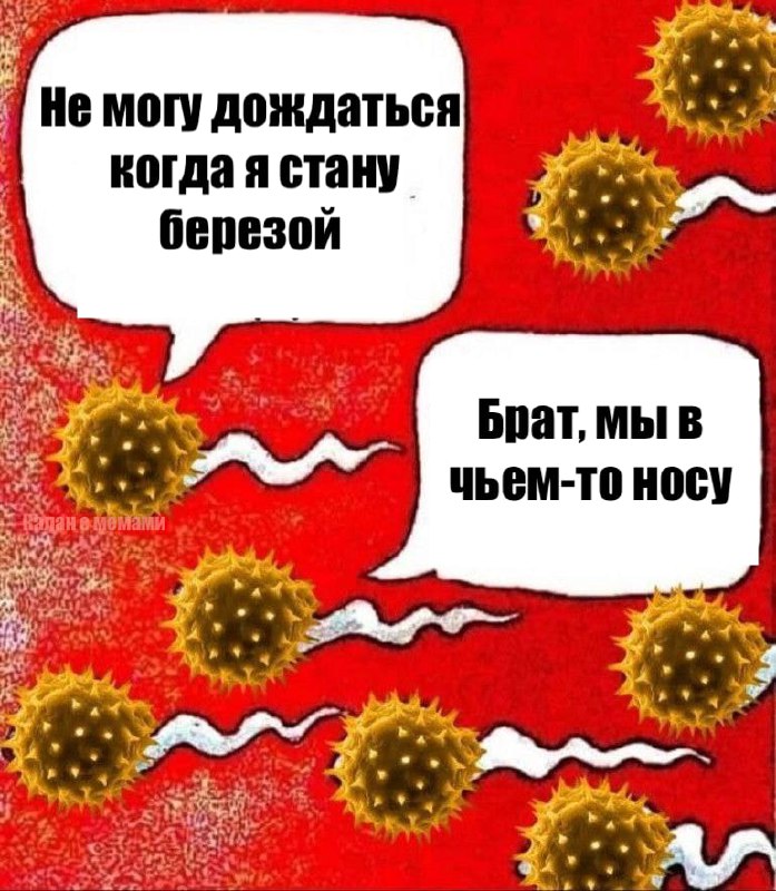 Не могу дождаться когда стану берёзой Разговор спор берёзы в чьём-то носу.