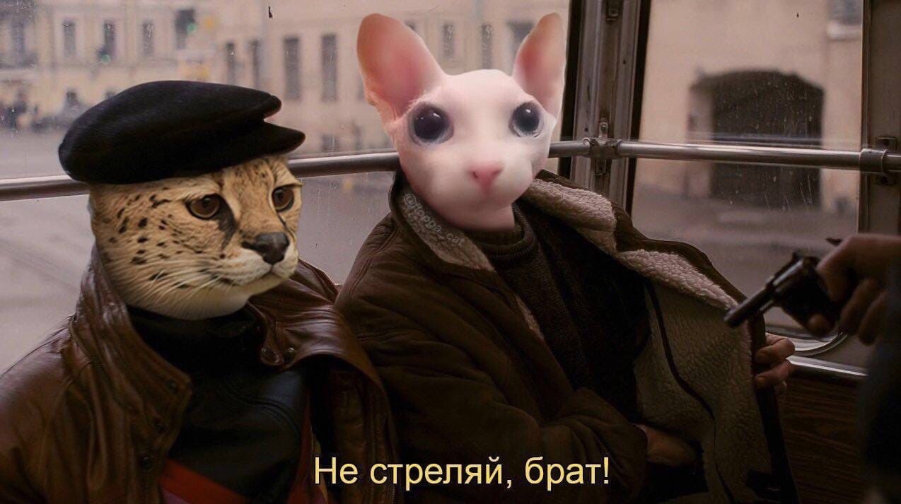 Не стреляй, брат Мем с Шиппером и Флоппой в трамвае с пистолетом "Не стреляй, брат!"