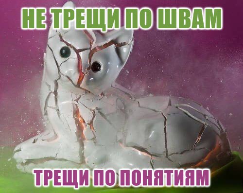 Не трещи по швам, трещи по понятиям Мем с котом, который разбивается, и текстом "Не трещи по швам, трещи по понятиям"