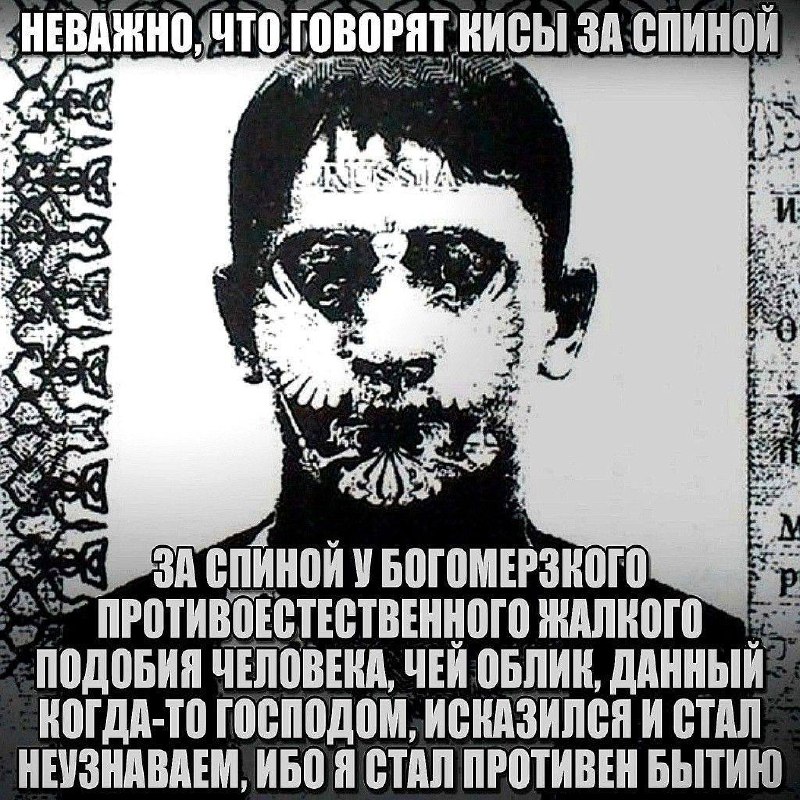 Неважно, что говорят кисы за спиной Неважно, что говорят кисы за спиной у богомерзкого противоестественного жалкого подобия человека.