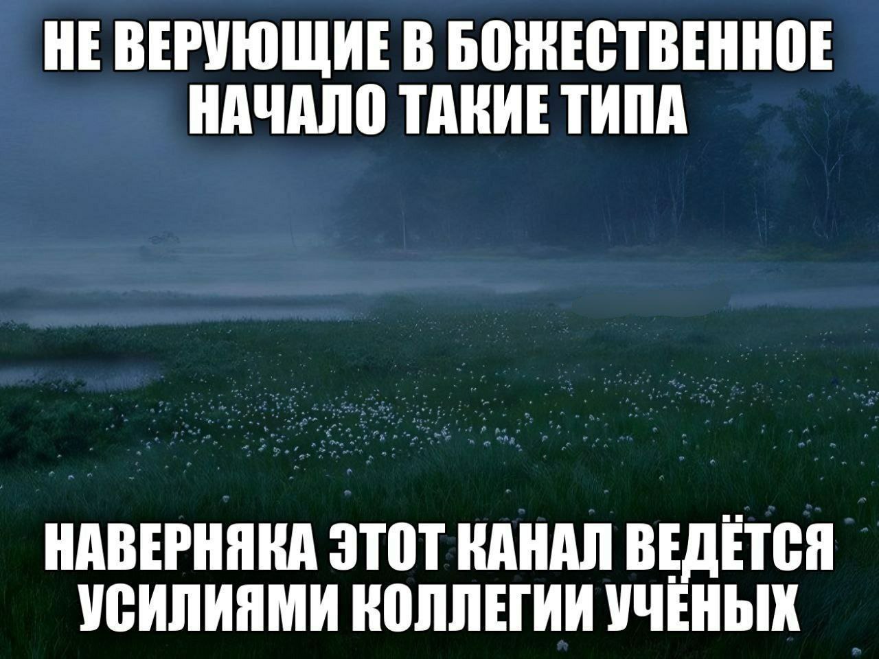 Не верующие в божественное начало такие типа На изображении показан мрачный пейзаж с туманом над полем, поросшим белыми цветами. Надпись сверху гласит: «Не верующие в божественное начало такие типа». Ниже: «Наверняка этот канал ведётся усилиями коллегии учёных».