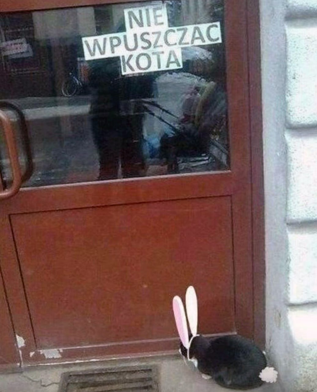 Не впускать кота Маленький черный кролик сидит у двери с надписью "Не впускать кота".