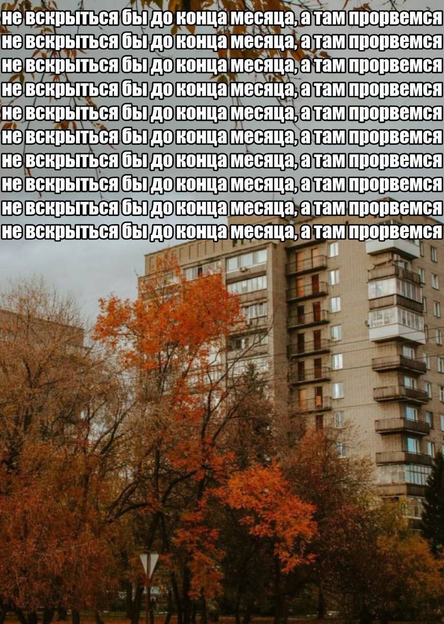 Не вскрыться бы до конца месяца, а там прорвемся Мем с повторяющейся надписью «Не вскрыться бы до конца месяца, а там прорвемся» на фоне осеннего двора