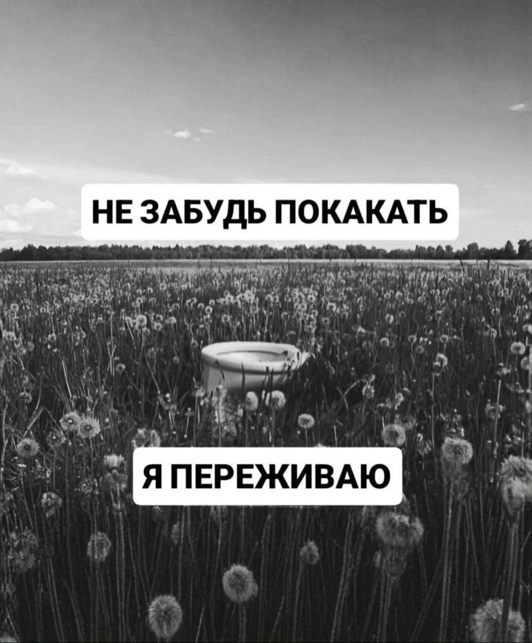 Поле одуванчиков и одинокая ванна с тревожным напоминанием: «Не забудь покакать. Я переживаю».