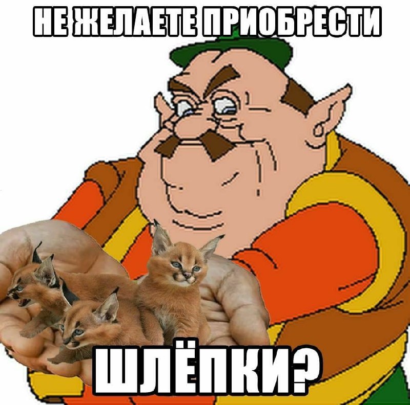 Не желаете приобрести Шлёпки Мужчина из мультфильма держит на руках трех маленьких каракалов, а сверху и снизу надпись «Не желаете приобрести? Шлёпки?»