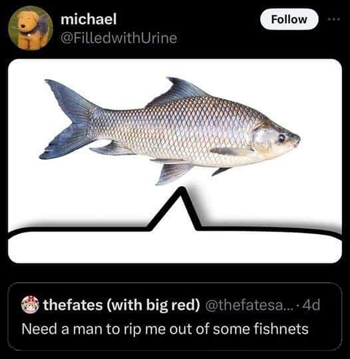 Need a man to rip me out of some fishnets Мем с рыбой и твитом "Need a man to rip me out of some fishnets"