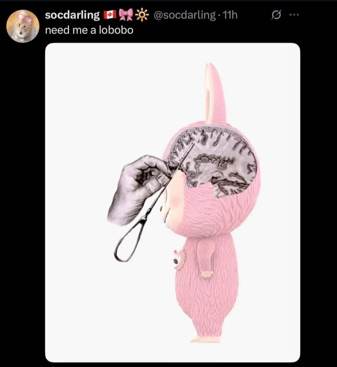Need me a lobobo Мне нужна лоботомия