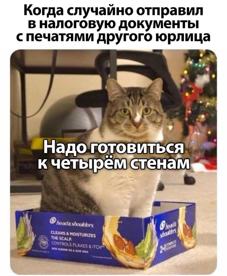 Надо готовиться к четырём стенам Мем с котом в коробке из-под шампуня Head & Shoulders и надписью «Надо готовиться к четырём стенам» после отправки документов в налоговую с чужими печатями.