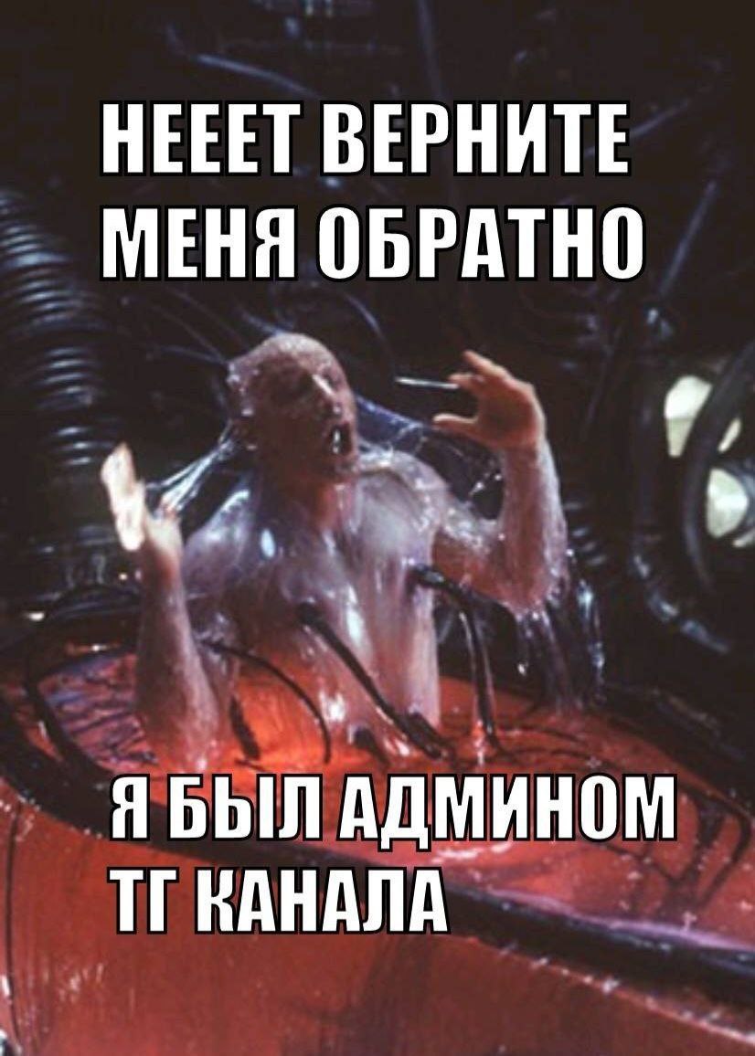 Нееет верните меня обратно я был админом ТГ канала Мем с кричащим человеком из Матрицы, который не хочет возвращаться в реальность, потому что был админом ТГ канала.