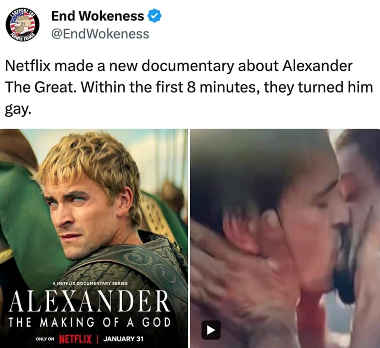 Netflix turned Alexander The Great gay in 8 minutes Мем про Netflix, который сделал Александра Македонского геем за 8 минут в документальном фильме