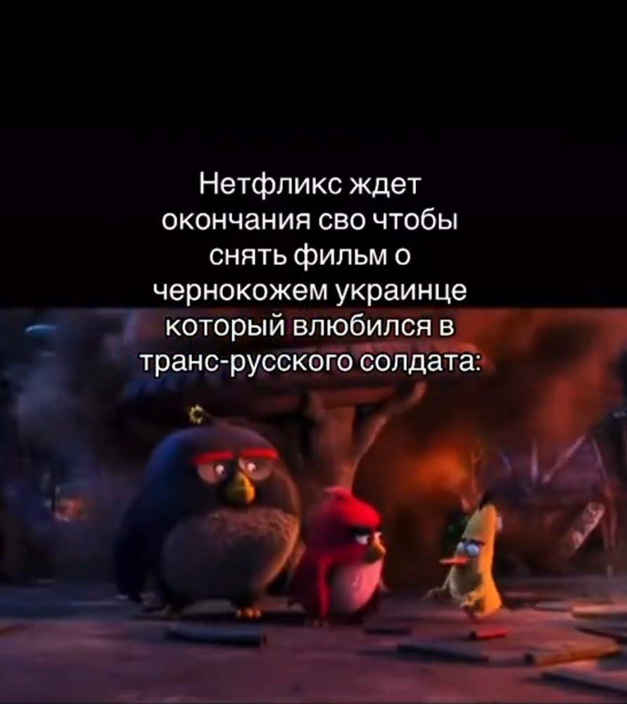Злые птицы из «Angry Birds в кино» реагируют на абсурдную выдумку о будущем фильме Netflix.