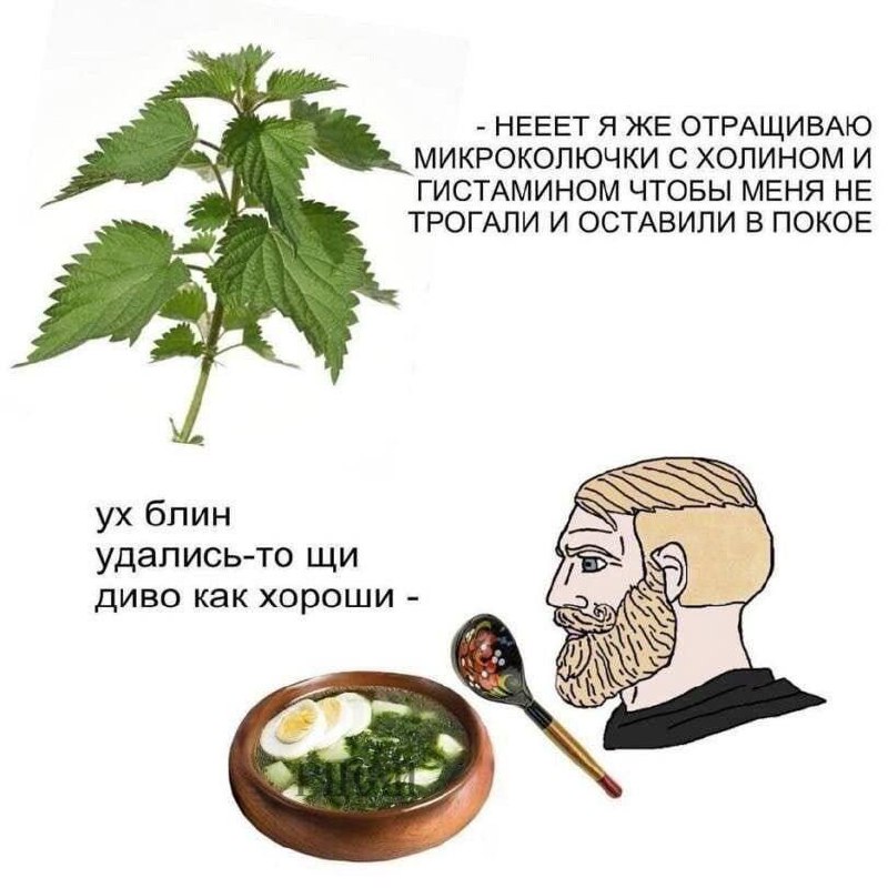 Крапива отращивает микроколючки с холином и гистамином, чтобы её не трогали, но из неё всё равно варят вкусные щи.