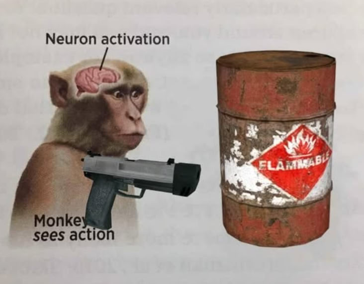 Мем про активацию нейронов у обезьяны, которая видит действие и держит пистолет