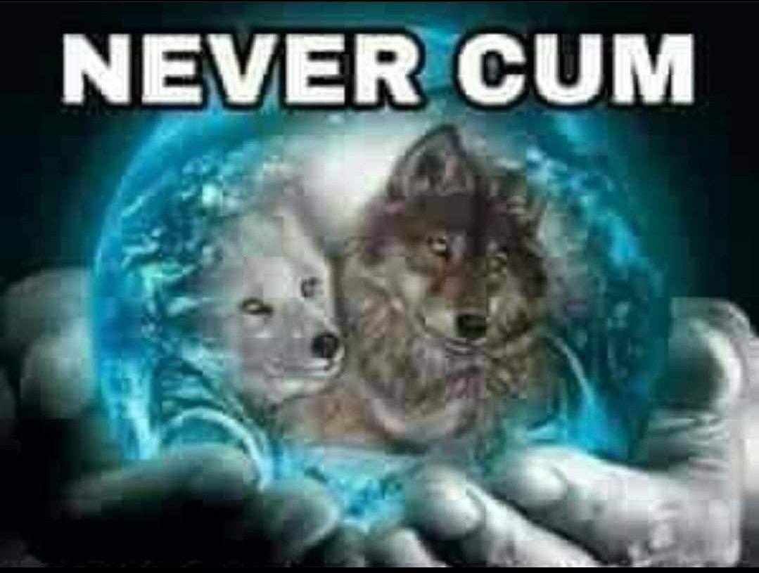 Never cum Изображение рук, держащих голограмму Земли с двумя волками и надписью «Never cum».