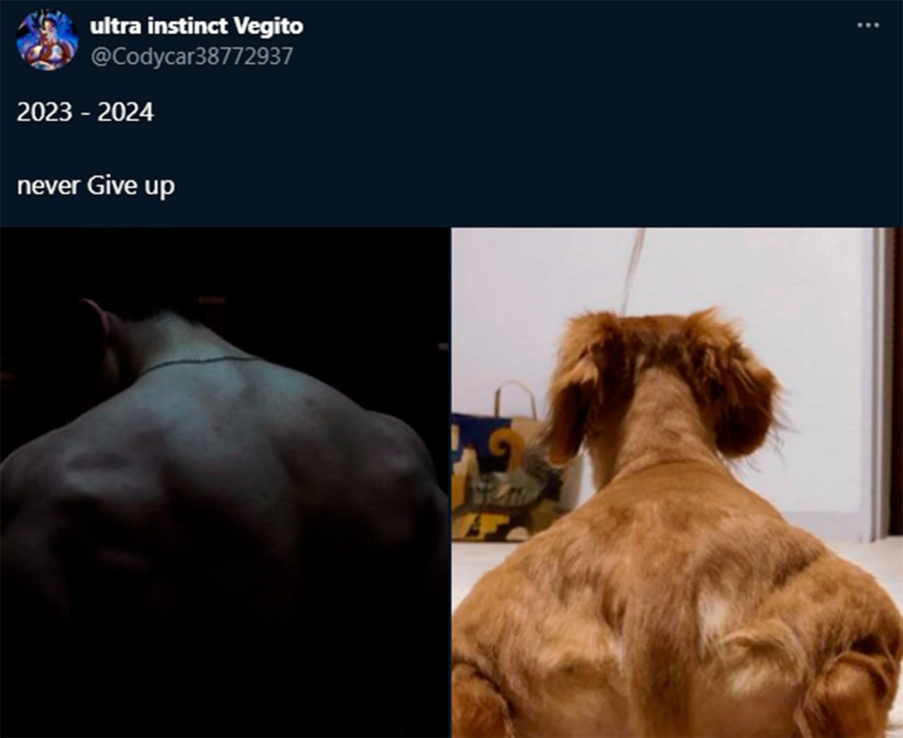 Never give up dog Накачанный пес и человек, never give up