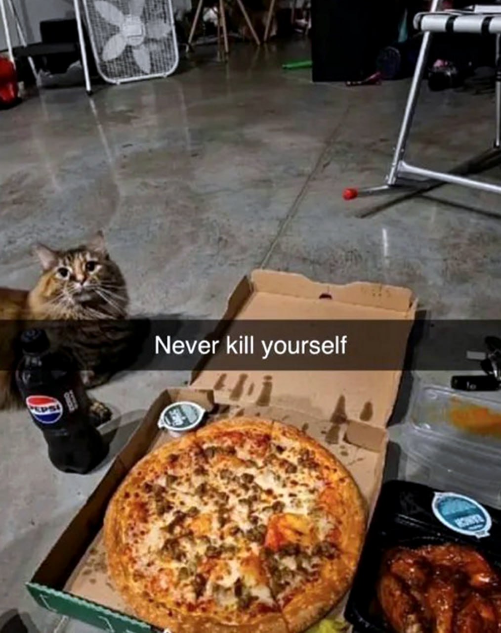 Never kill yourself кот с пиццей Мем с котом, пиццей и надписью «Never kill yourself»