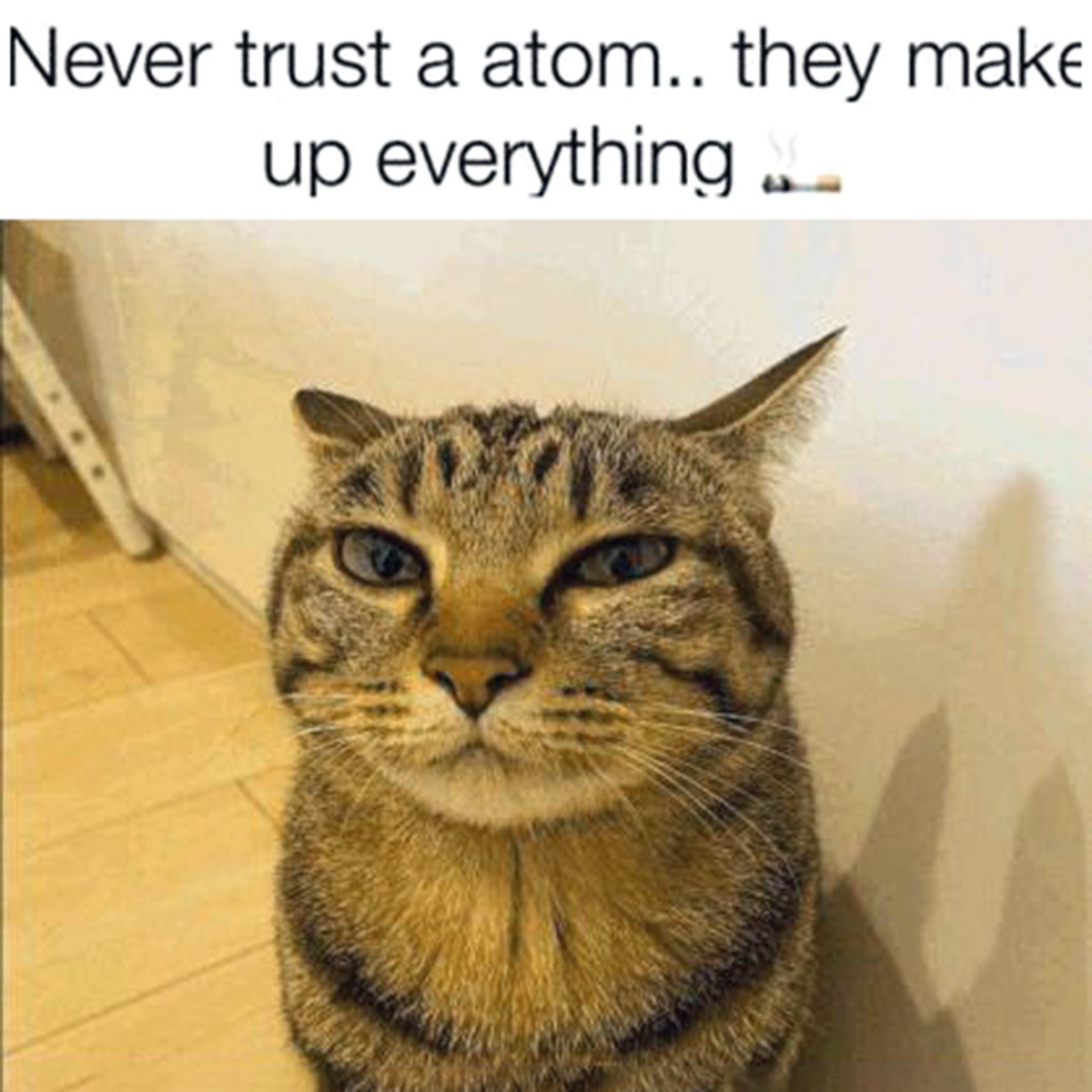 Never trust a atom.. they make up everything Кот с подозрительной мордой и подписью про атомы