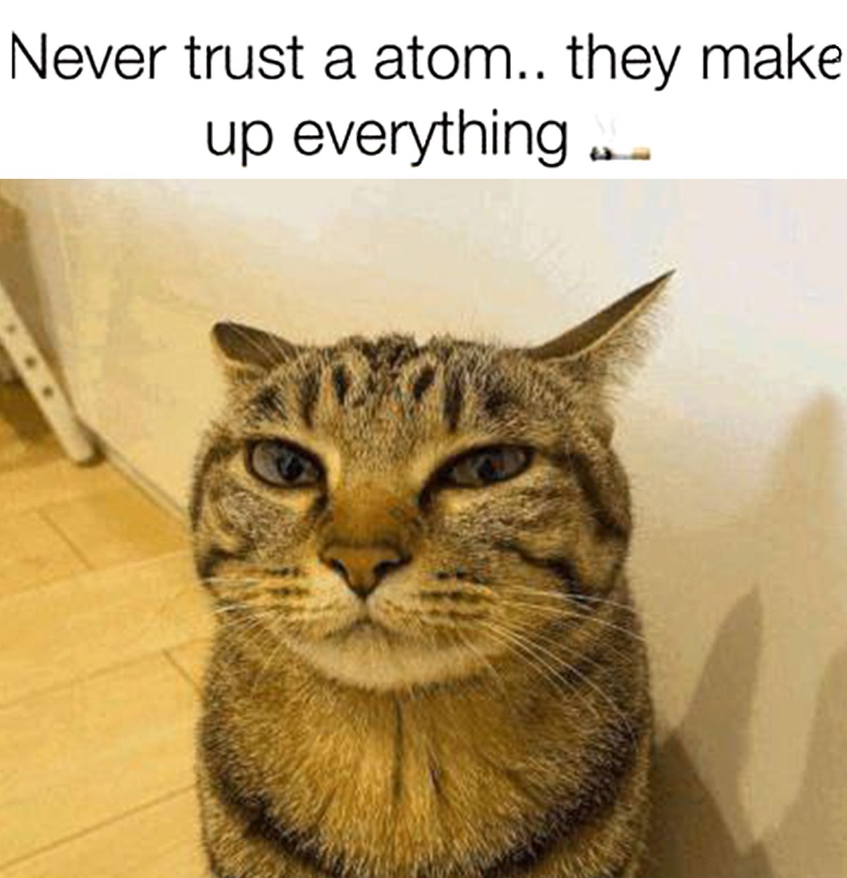 Never trust a atom.. they make up everything Мем с котом и надписью «Never trust a atom.. they make up everything» о том, что атомы составляют все