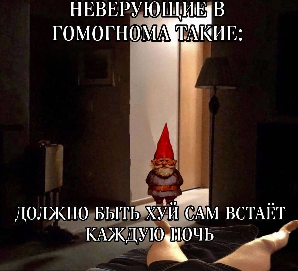 Ночью в тёмной комнате в дверном проёме стоит маленький гном, а на картинке написано про неверующих в «гомогнома» и то, что «хуй сам встаёт каждую ночь».