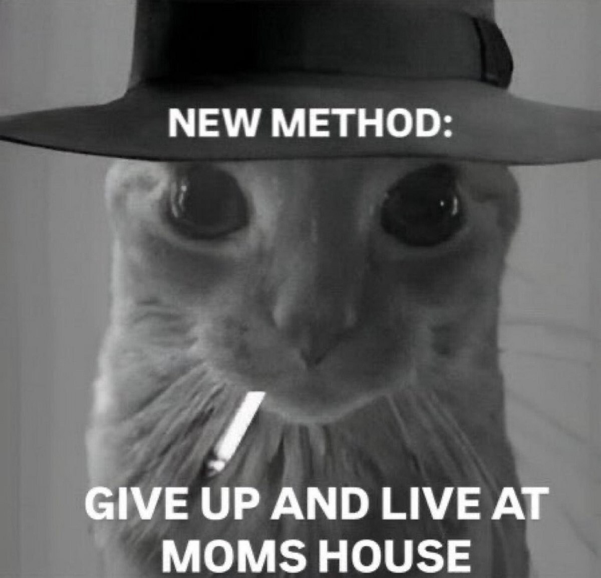 Кот в шляпе с сигаретой и надписью "NEW METHOD: GIVE UP AND LIVE AT MOMS HOUSE"