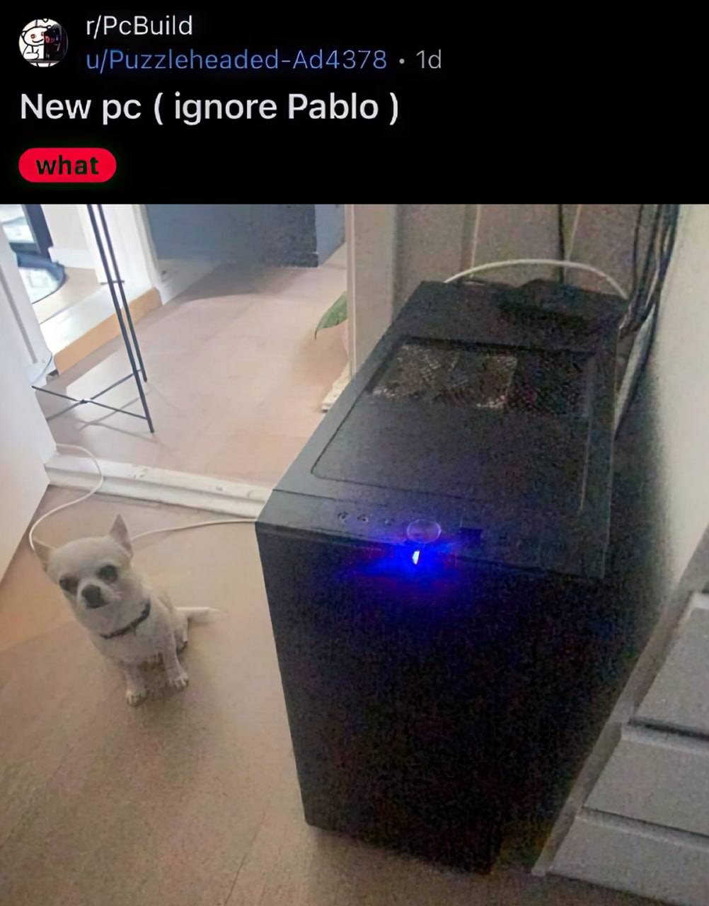 New pc ( ignore Pablo ) Новый ПК ( не обращайте внимания на Пабло )