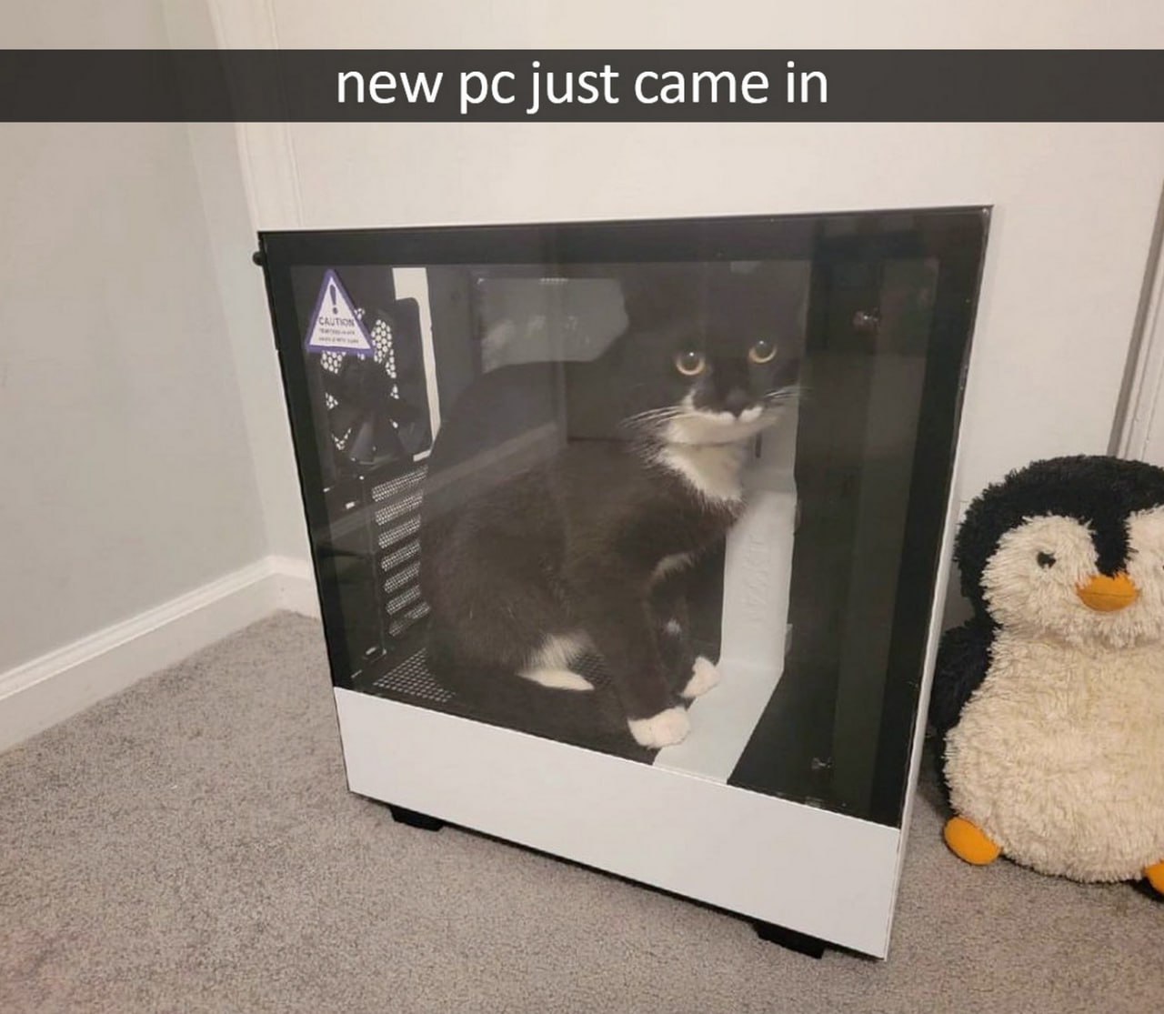 New pc just came in Кот сидит внутри компьютерного корпуса рядом с плюшевым пингвином.