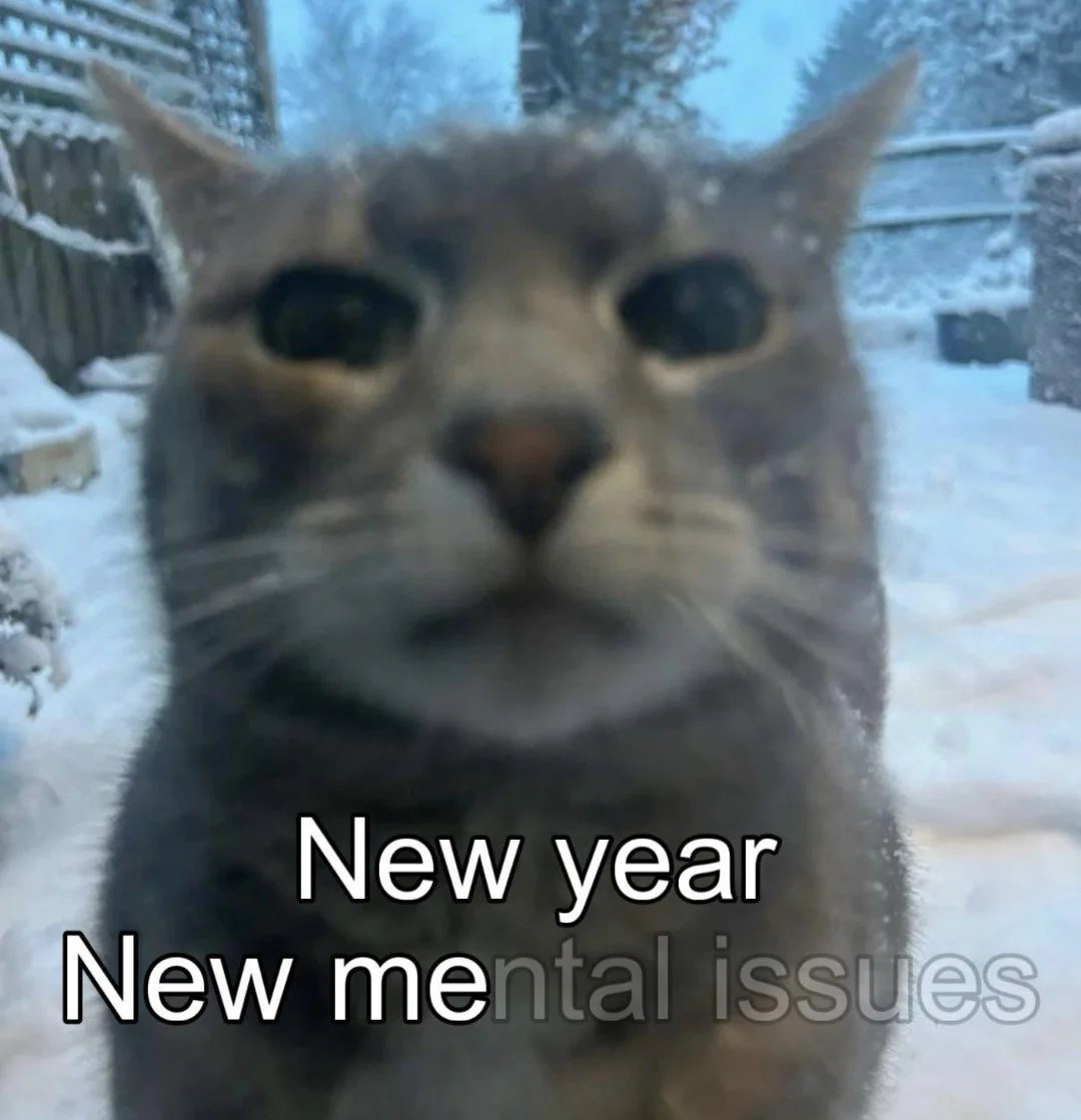 Мем с котом "New year, new mental issues" на фоне заснеженного двора