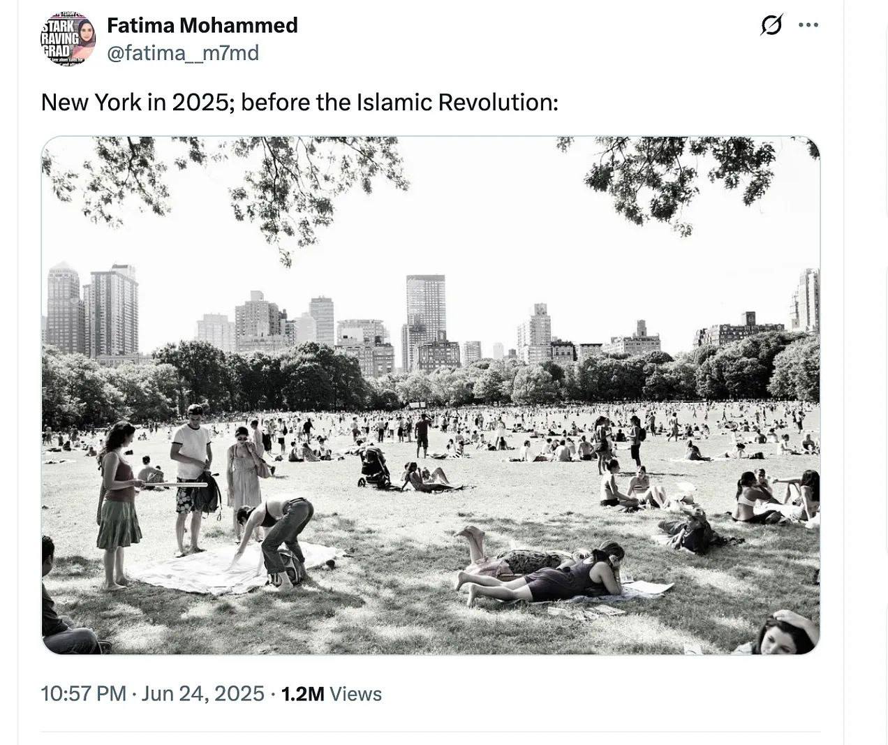 New York in 2025; before the Islamic Revolution Мем Нью-Йорк в 2025 году до Исламской революции