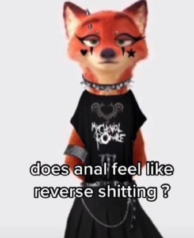 Does anal feel like reverse shitting Лис Ник Уайлд эмо с вопросом про "обратное испражнение"