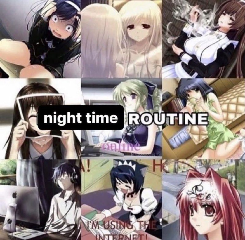 Коллаж из аниме-девушек с надписью «night time ROUTINE» и фразой «I’m using the internet».